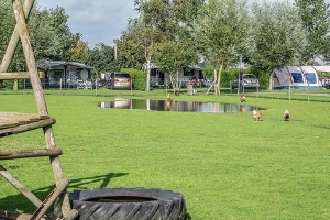 Veld van boerderijcamping De Catshoek in Nieuwvliet, Zeeland